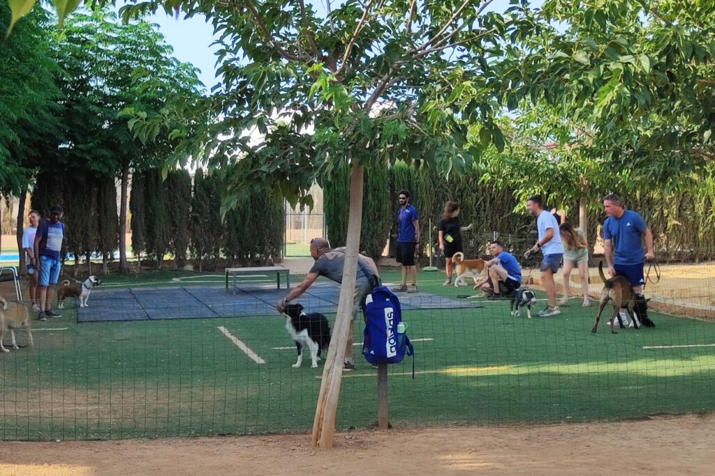 Clase de adiestramiento en Centro Canino Valencia
