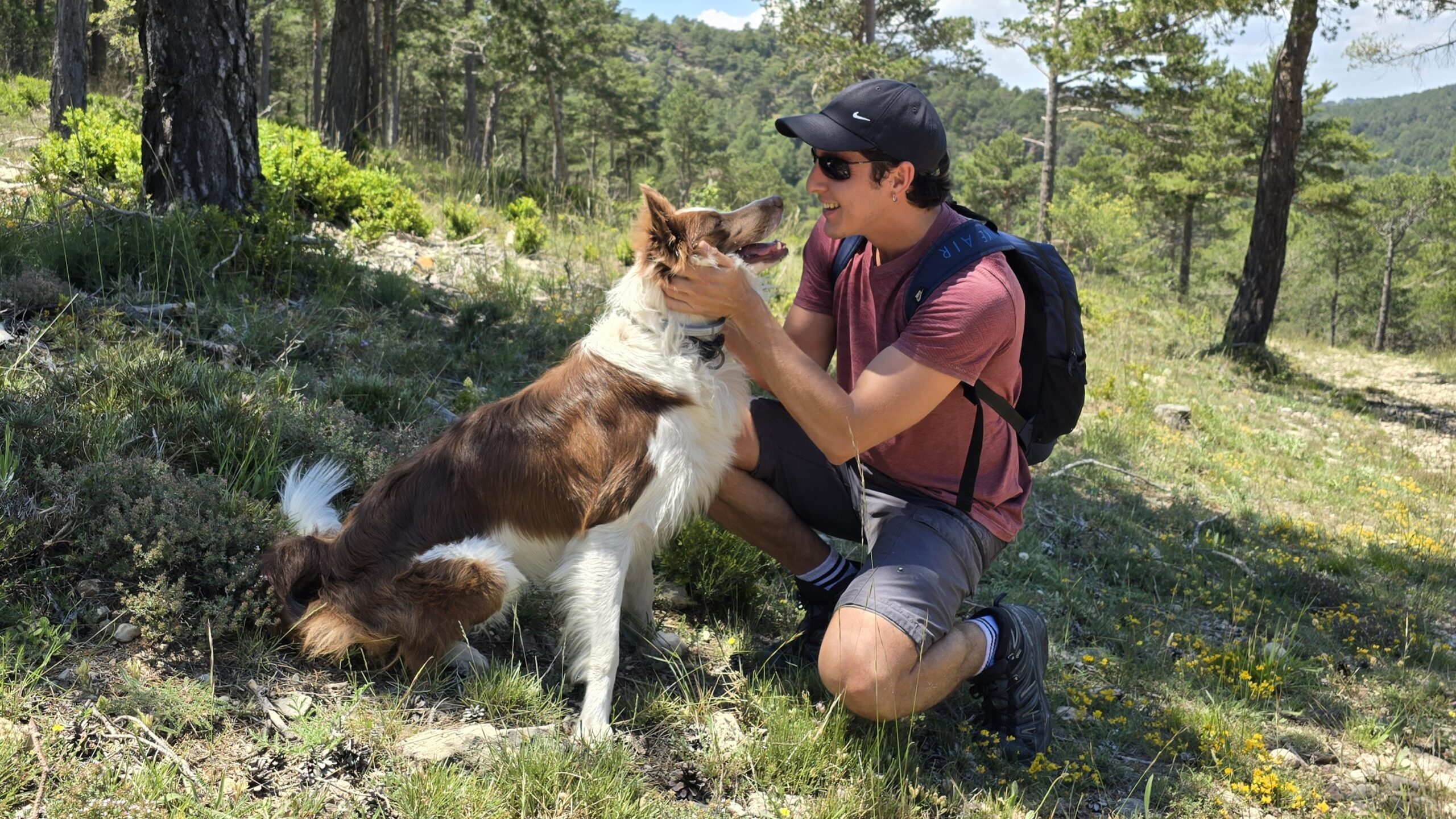 ¿Cómo es viajar con un border collie? Mi experiencia con Loki